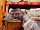 Click here for Minnie's page!