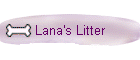 Lana's Litter