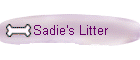 Sadie's Litter