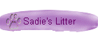 Sadie's Litter