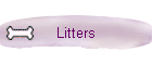 Litters