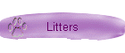 Litters