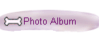 Photo Album