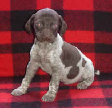 Male #4