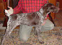 molly.jpg (137315 bytes)